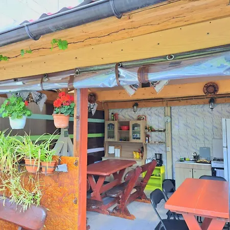 Casa Gabriela Vama Veche