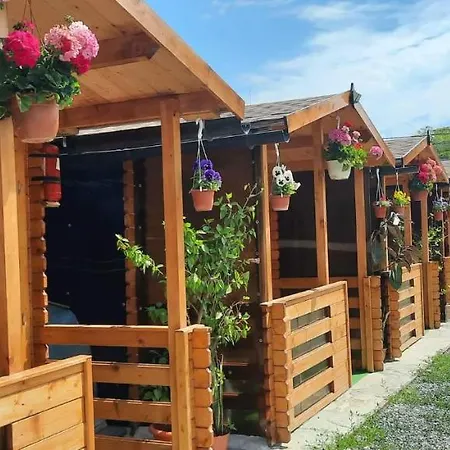 Accommodatie bij particulieren Casa Gabriela