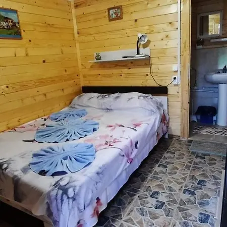 Accommodatie bij particulieren Casa Gabriela