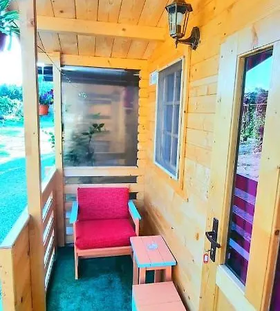 Accommodatie bij particulieren Casa Gabriela *