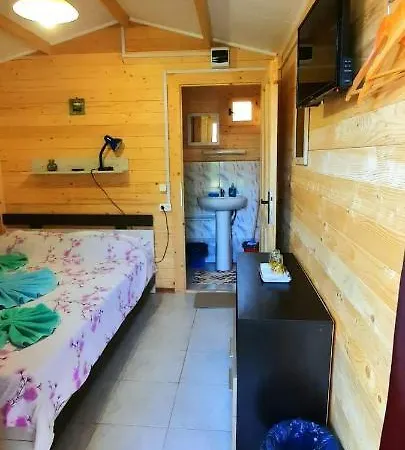 Accommodatie bij particulieren Casa Gabriela
