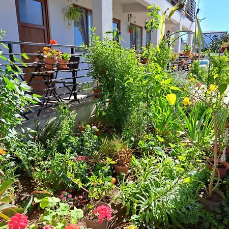 Casa Gabriela Accommodatie bij particulieren *